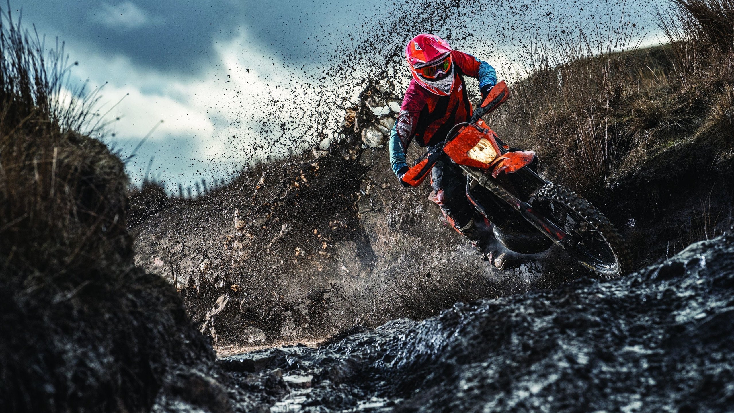 随机《高校电竞专业逐步落地,培养多元化专业人才》,高校电竞产业链