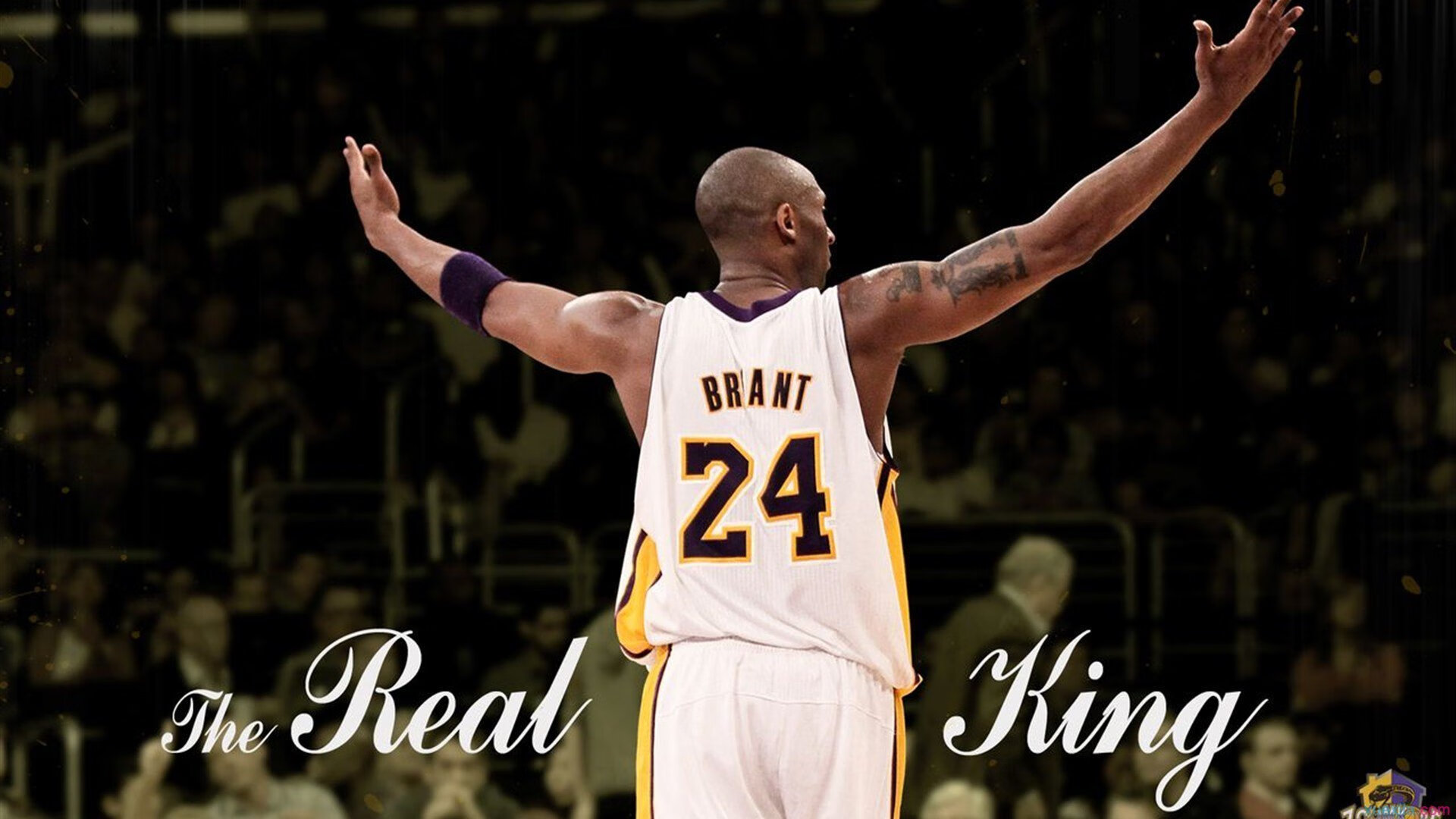 开云体育中国官网-纽卡斯尔联客场0-1惜败狼队，防守端表现稳健，纽卡斯尔联队一球成名